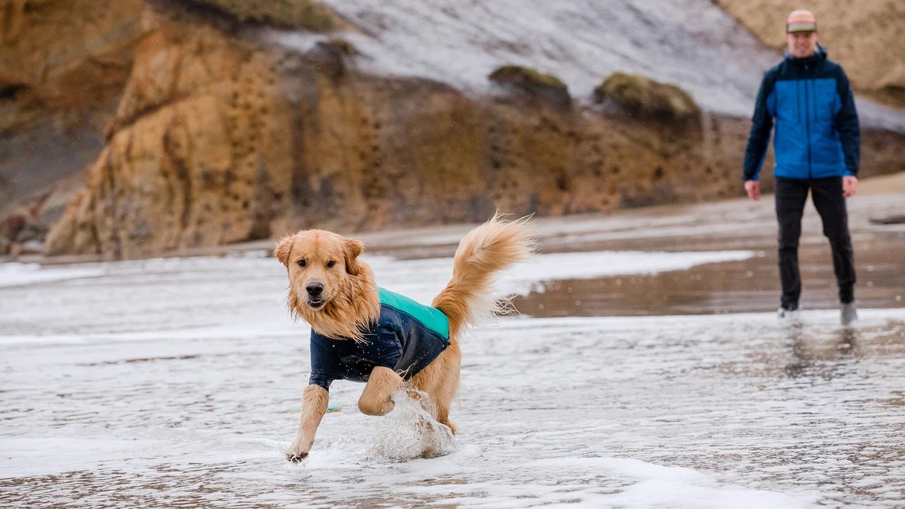 Ruffwear Undercoat Water Jacket<br> Perfekt i kjølig vann!