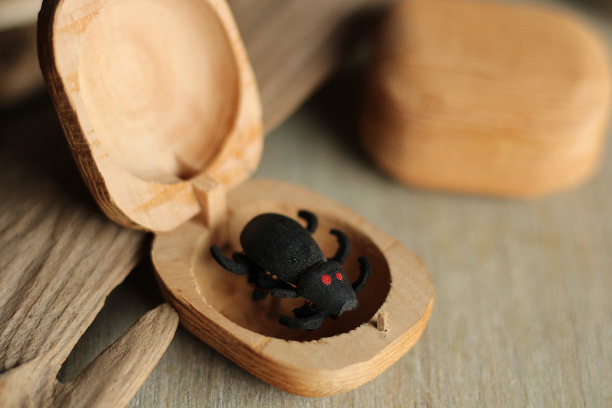 Wackelkäfer in Nußschale, L 4 cm, B 3 cm, H 2 cm günstig bestellen