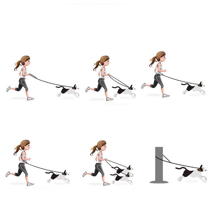 (210cm) Strick Hunde Leine Trainings Seil Verstellbare Hundeleine mit Doppel Haken - Blau