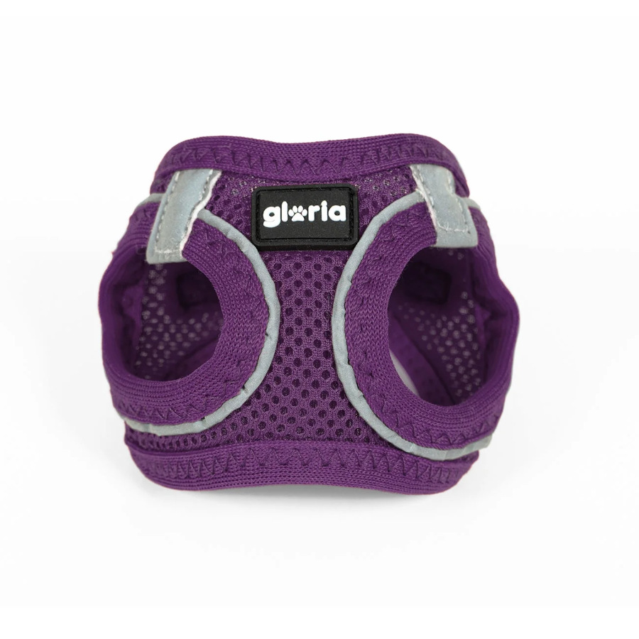 Coleira para cães Gloria Air Mesh Trek Star roxa