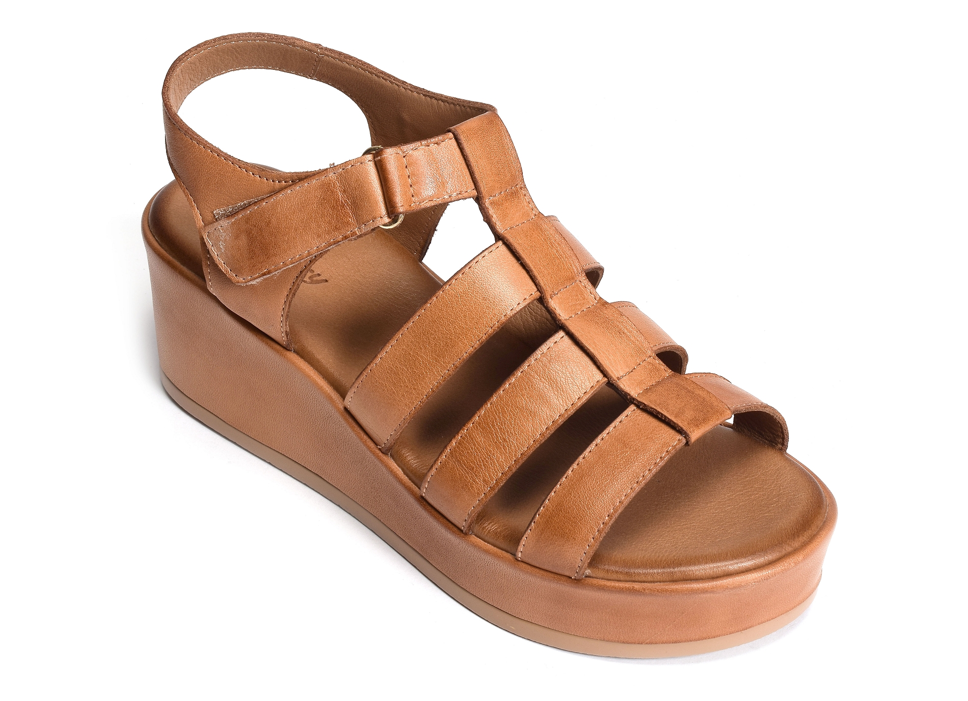 Faena camel