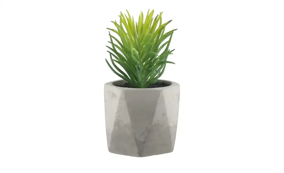Kunstblume Design I