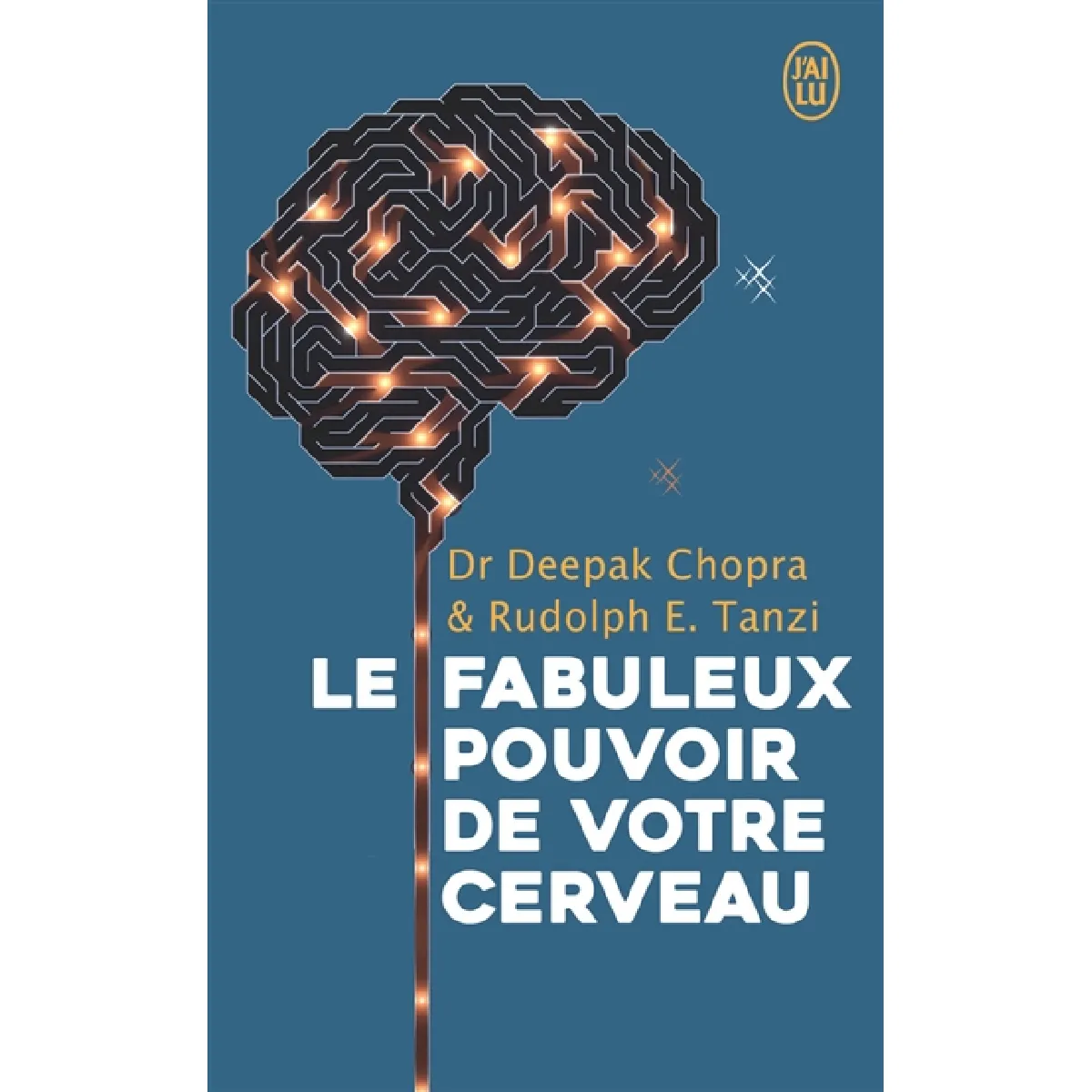 Le fabuleux pouvoir de votre cerveau : nous utilisons 5 % de notre potentiel, et si nous en exploitions 100 % · Occasion