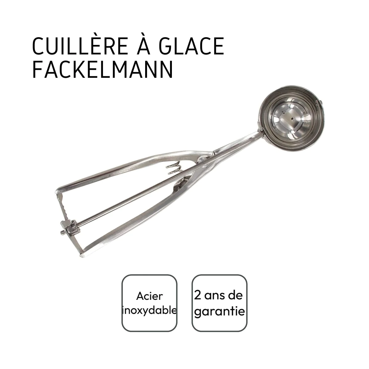 Cuillère à glace Basic Fackelmann