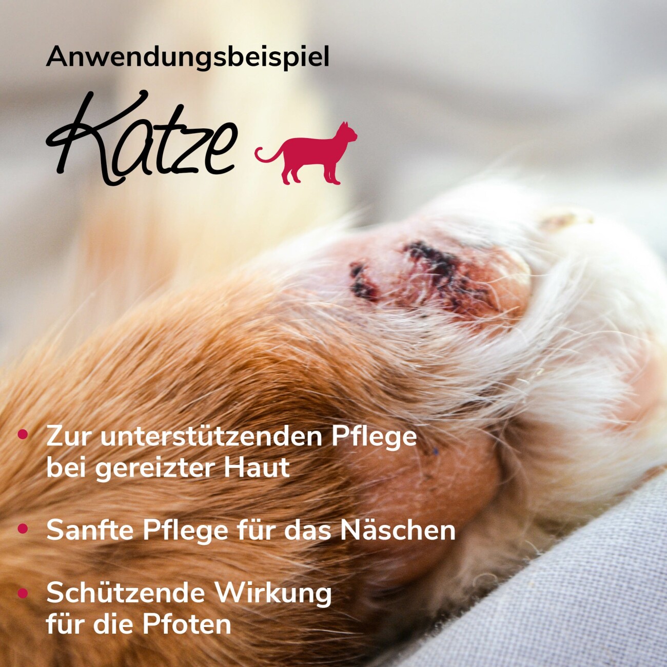 HerzensTier Pflegecreme Bienenwundercreme 10 ml