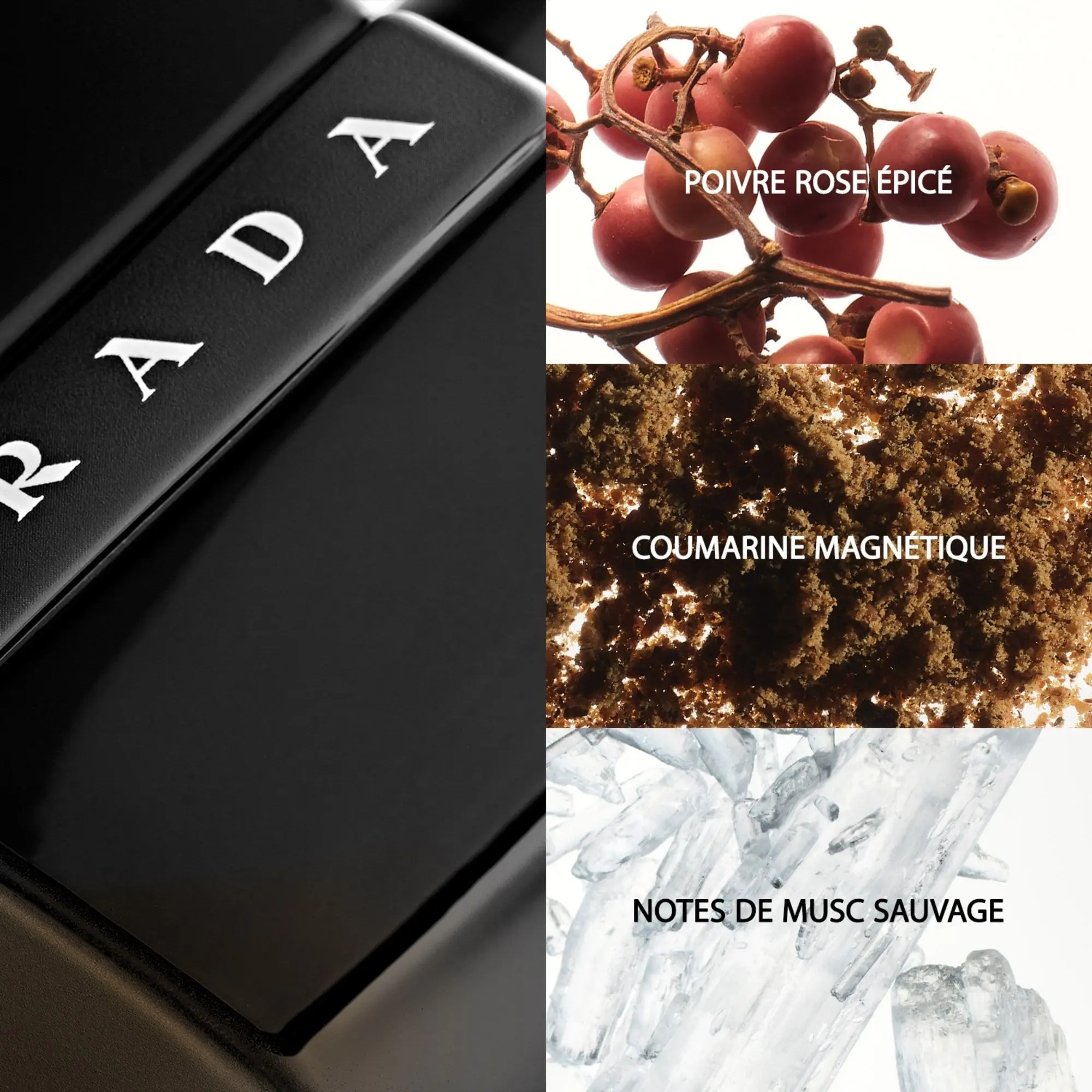 Prada - Luna Rossa Black Eau De Parfum- Eau de parfum
