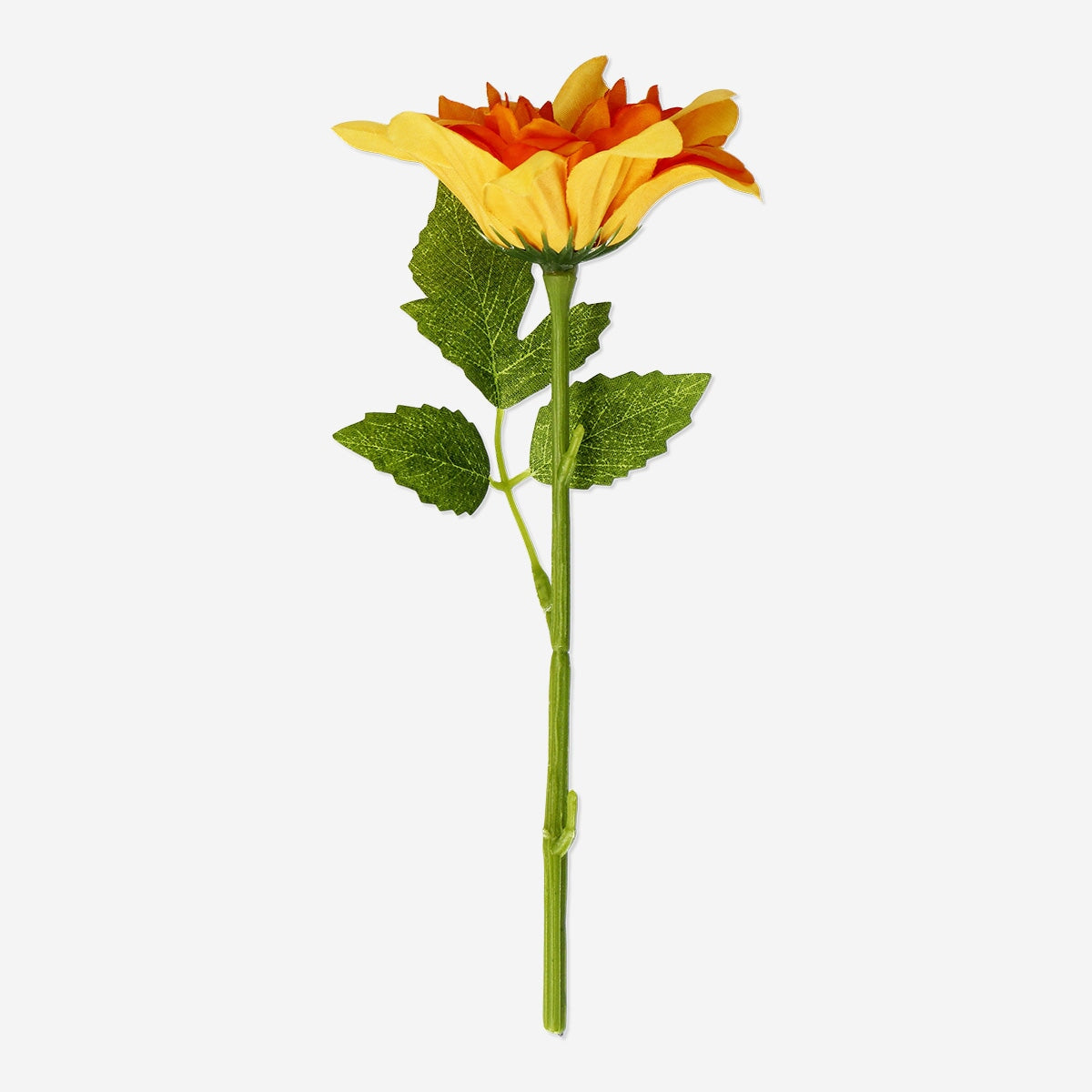 Orange dekorativ blomst