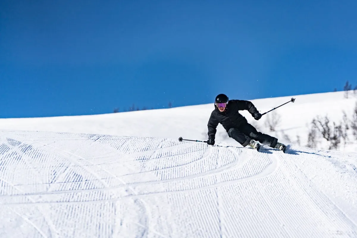 SGN Skis SGN skis Frikar Green artwork
