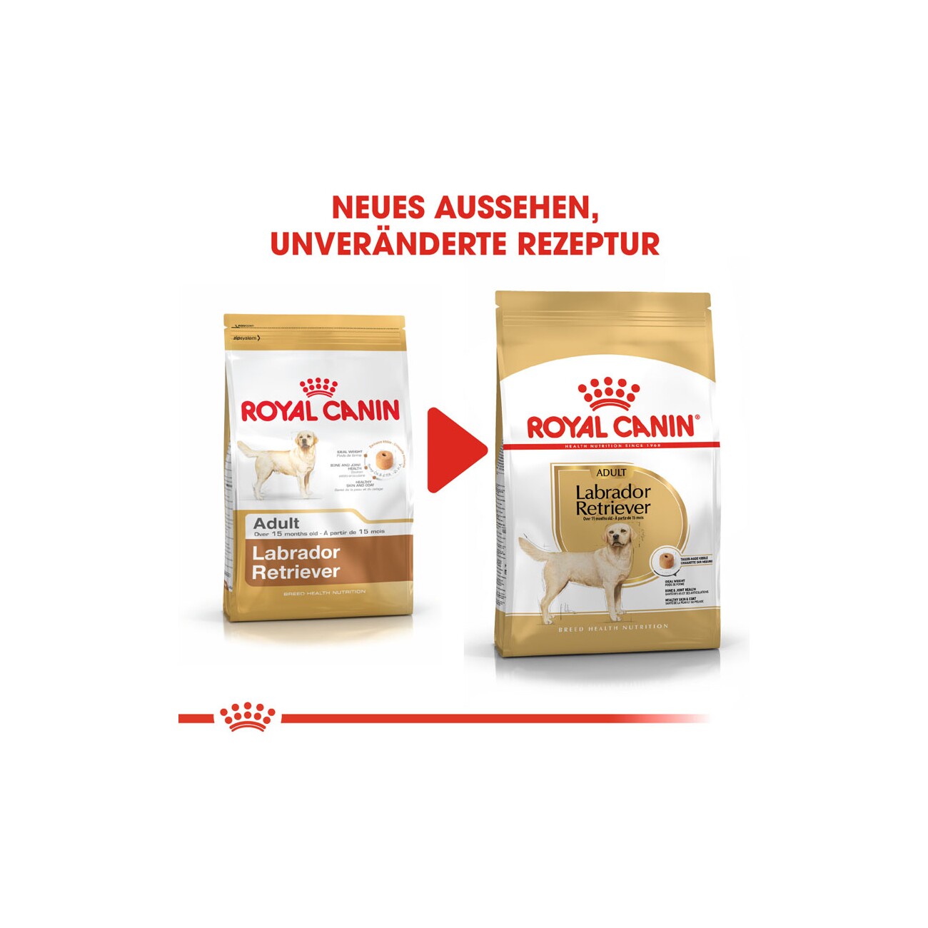 ROYAL CANIN Labrador Retriever Adult 12 kg