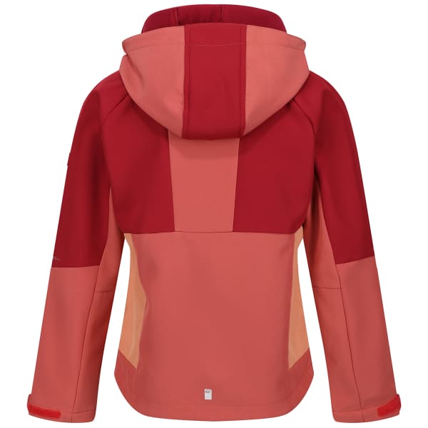Veste randonnée REGATTA HAYDENBURY MINERAL RED/RUMBA RED/APRICOT CRUSH