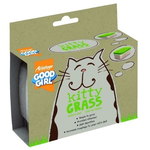 Catnip com sabor natural