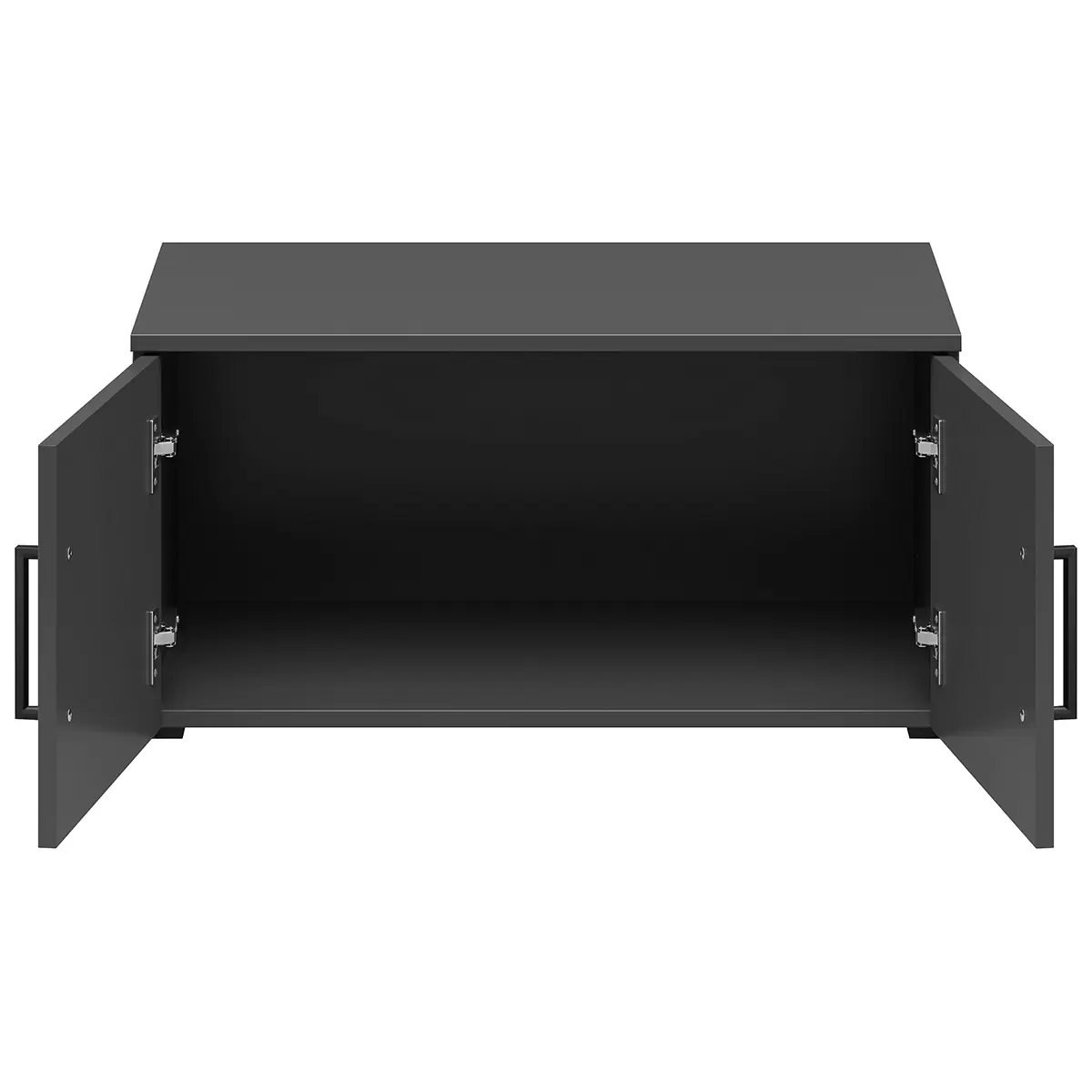 Regal 2T Cabinet Anthrazit