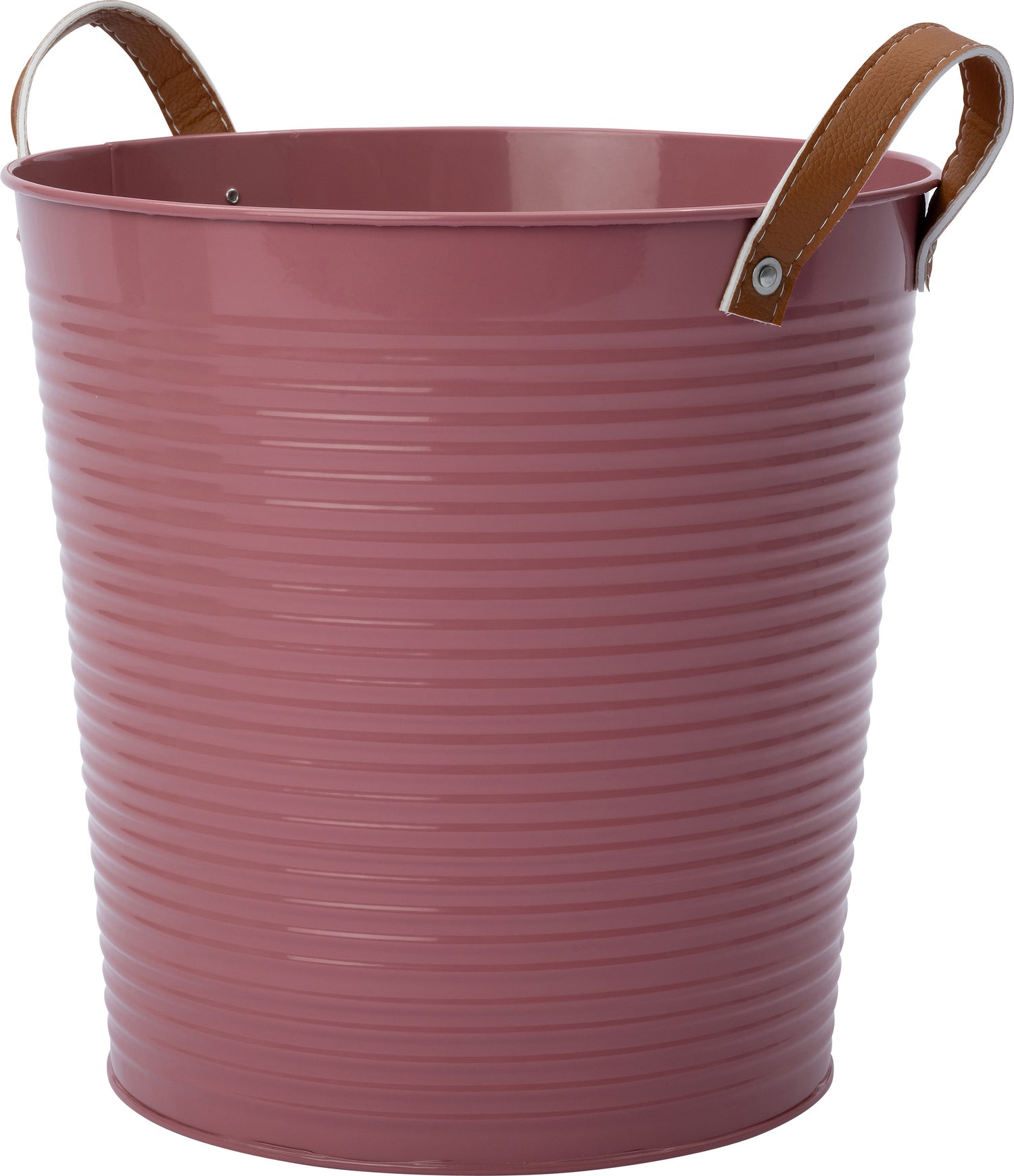 Intratuin plantenteil Radi roze D 26 H 26 cm