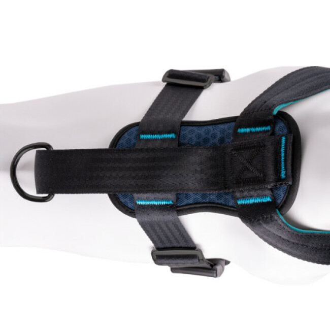 Harnais Crash Tested transport en voiture CarSafe pour chien