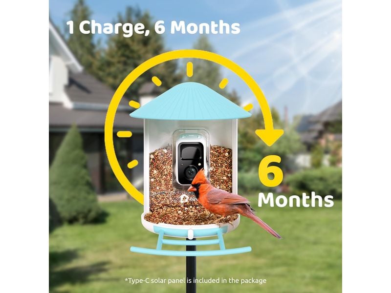 Birdfy Futterspender Basic Solar Vogelfutterspender mit Kamera und Lifetime AI