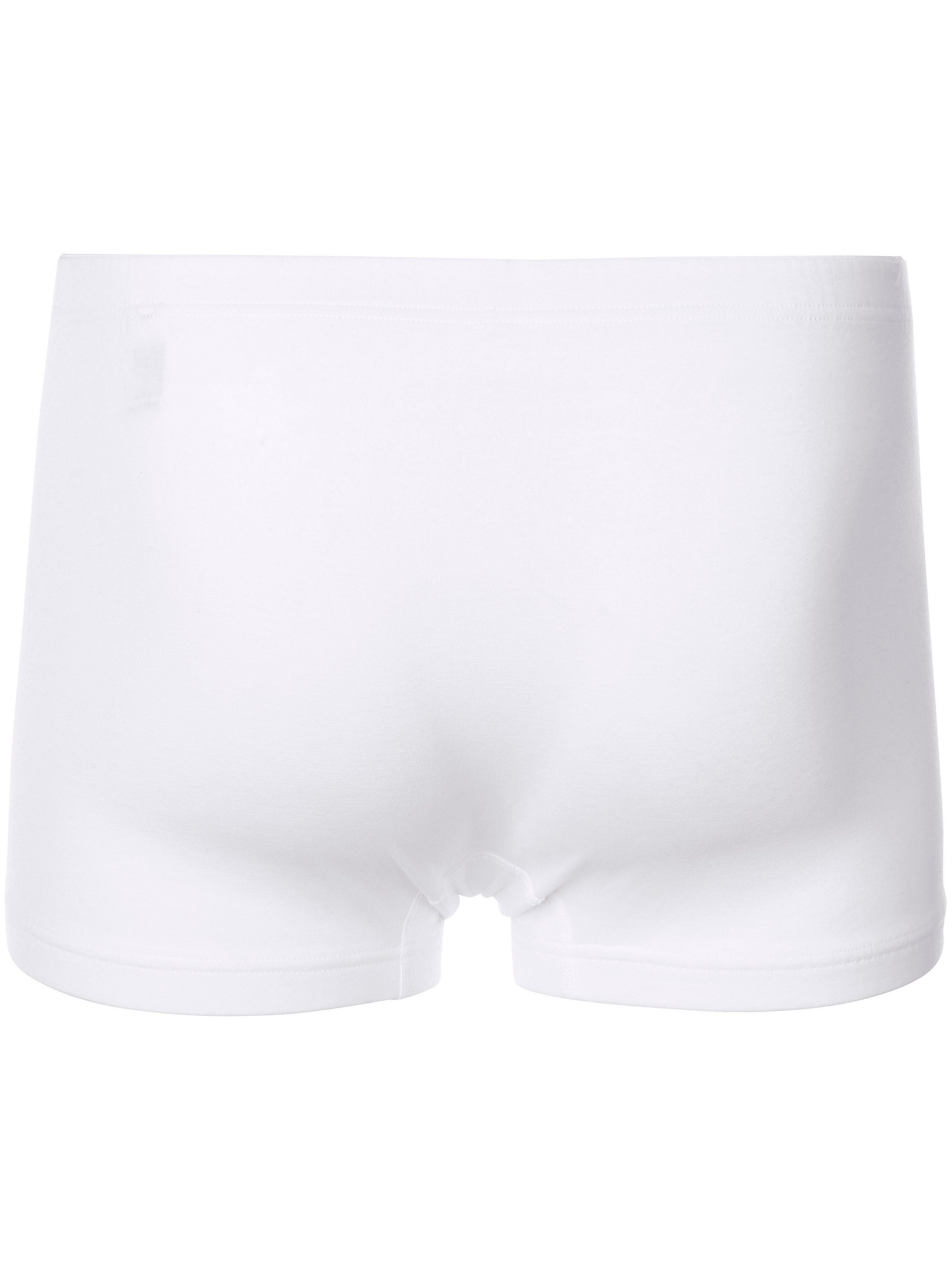 Shorts Modell Casual Cotton