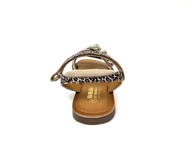 Braqeez 425018 beige