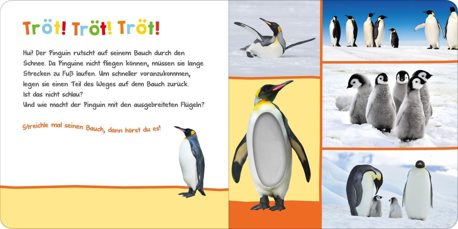 Hör mal rein, wer kann das sein? - Im Winter
