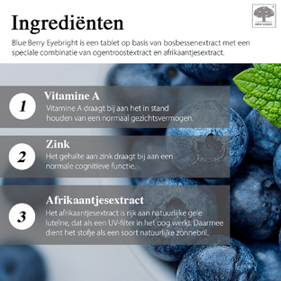 New Nordic Blue Berry Eyebright Tabletten 120TB