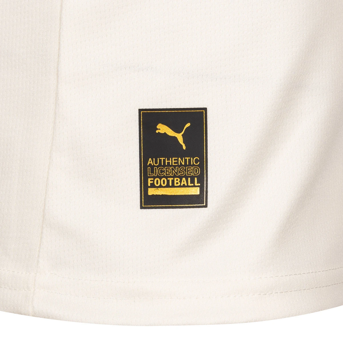 Camisola Puma Parma Primeiro Equipamento 2025-2026 Criança