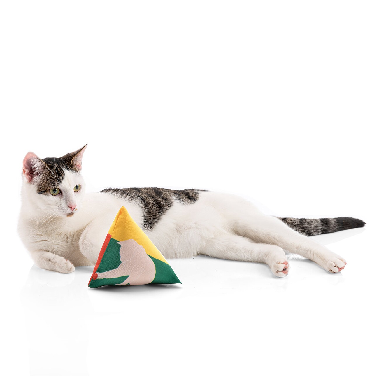 Canadian Cat Company Catnipspielzeug 6x Schmusepyramide Reggae 3-Color
