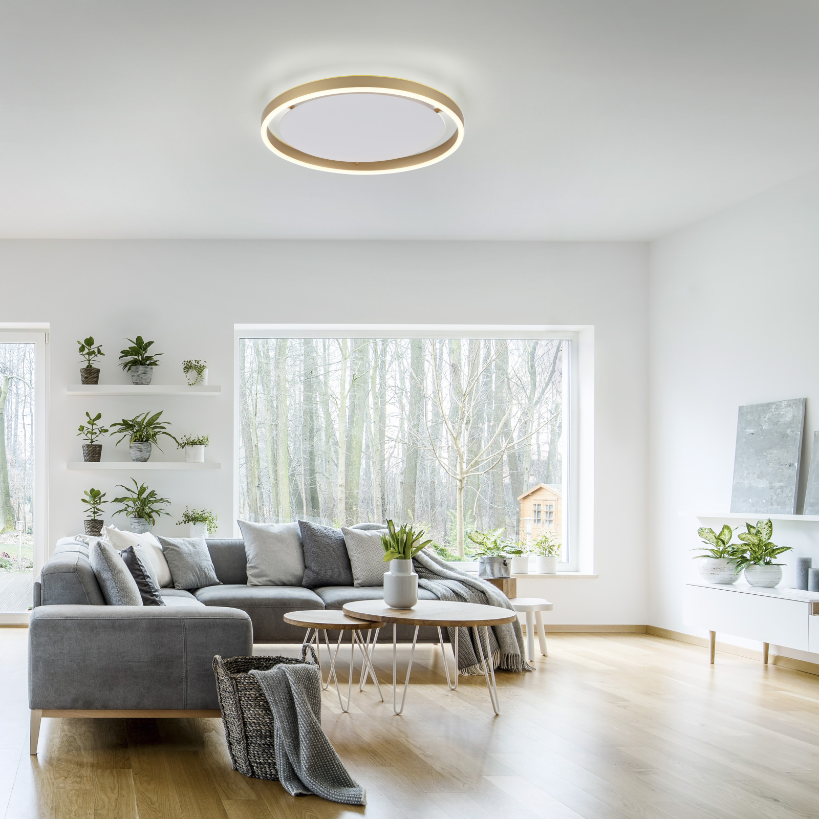 LED-Deckenlampe - Messing matt - 3-Stufen Dimmer