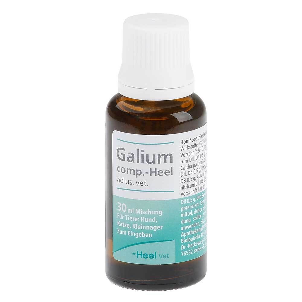 Galium comp.-Heel® ad us. vet. Tropfen