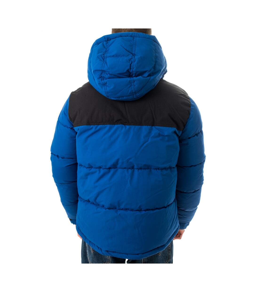Doudoune Bleu Homme Dickies Glacier View Coat