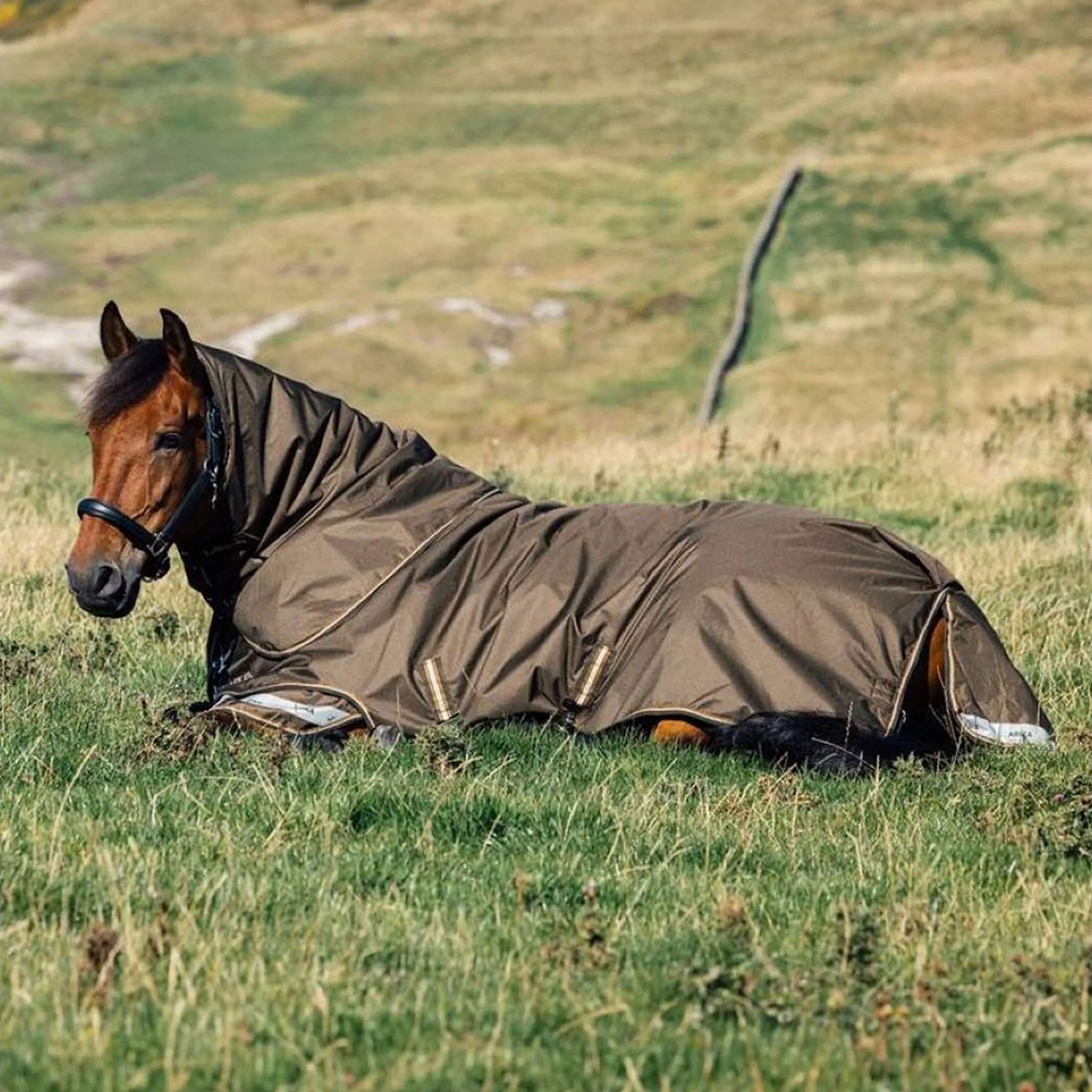 LeMieux Outdoordeken Arika 600D 100g Alpine