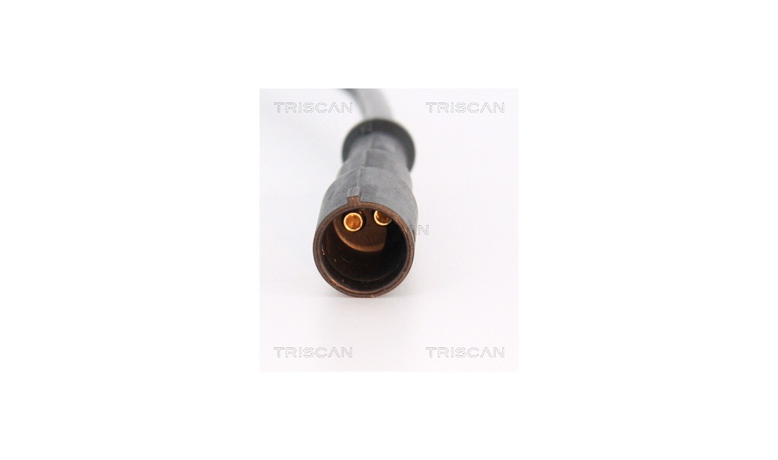 ABS sensor