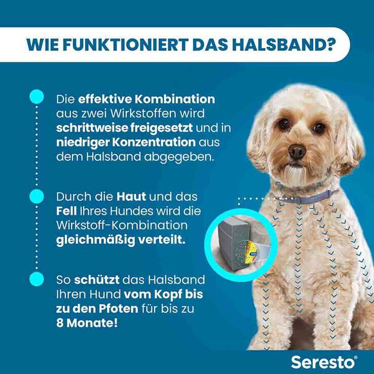 Seresto Halsband für kleine Hunde bis 8 kg, 1 St