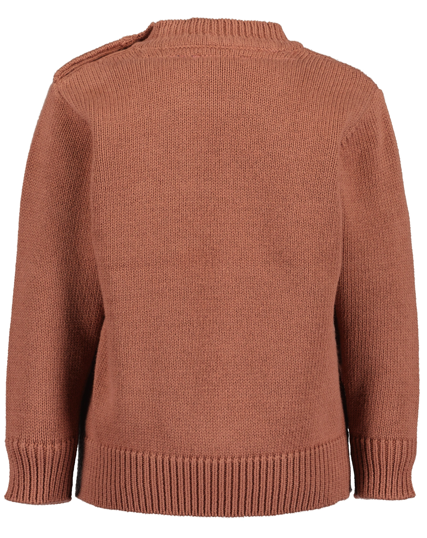 Strickpullover DINOSAUR in kupfer