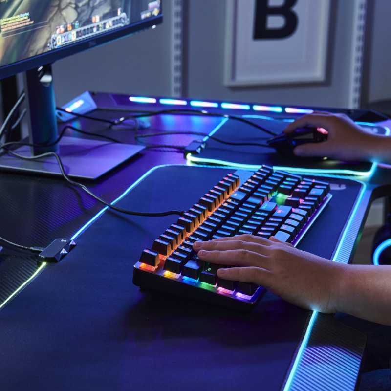 Gamingmus