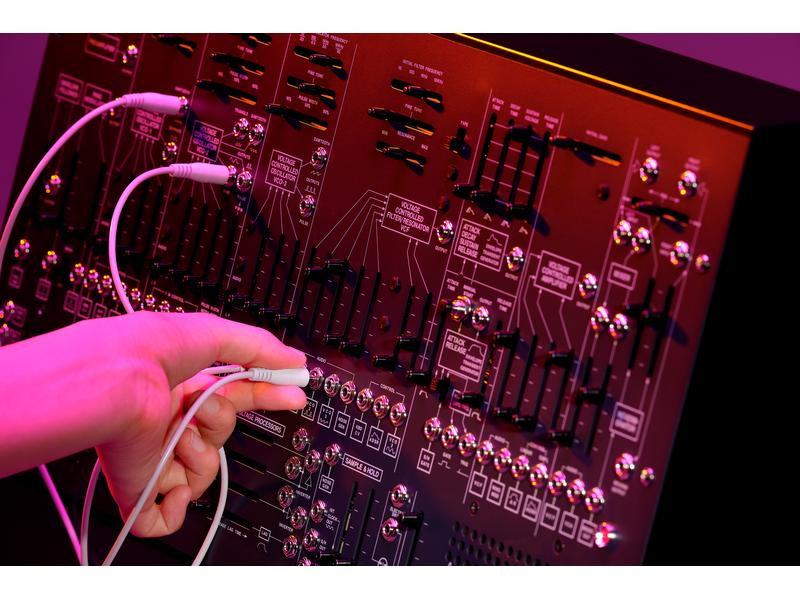 Korg Synthesizer ARP 2600 M Standard Edition Der originale ARP 2600 im handlicheren Format