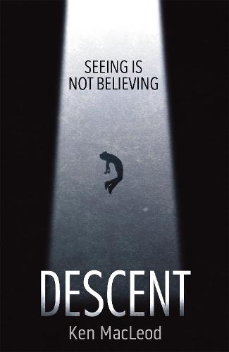 Descent (Paperback)