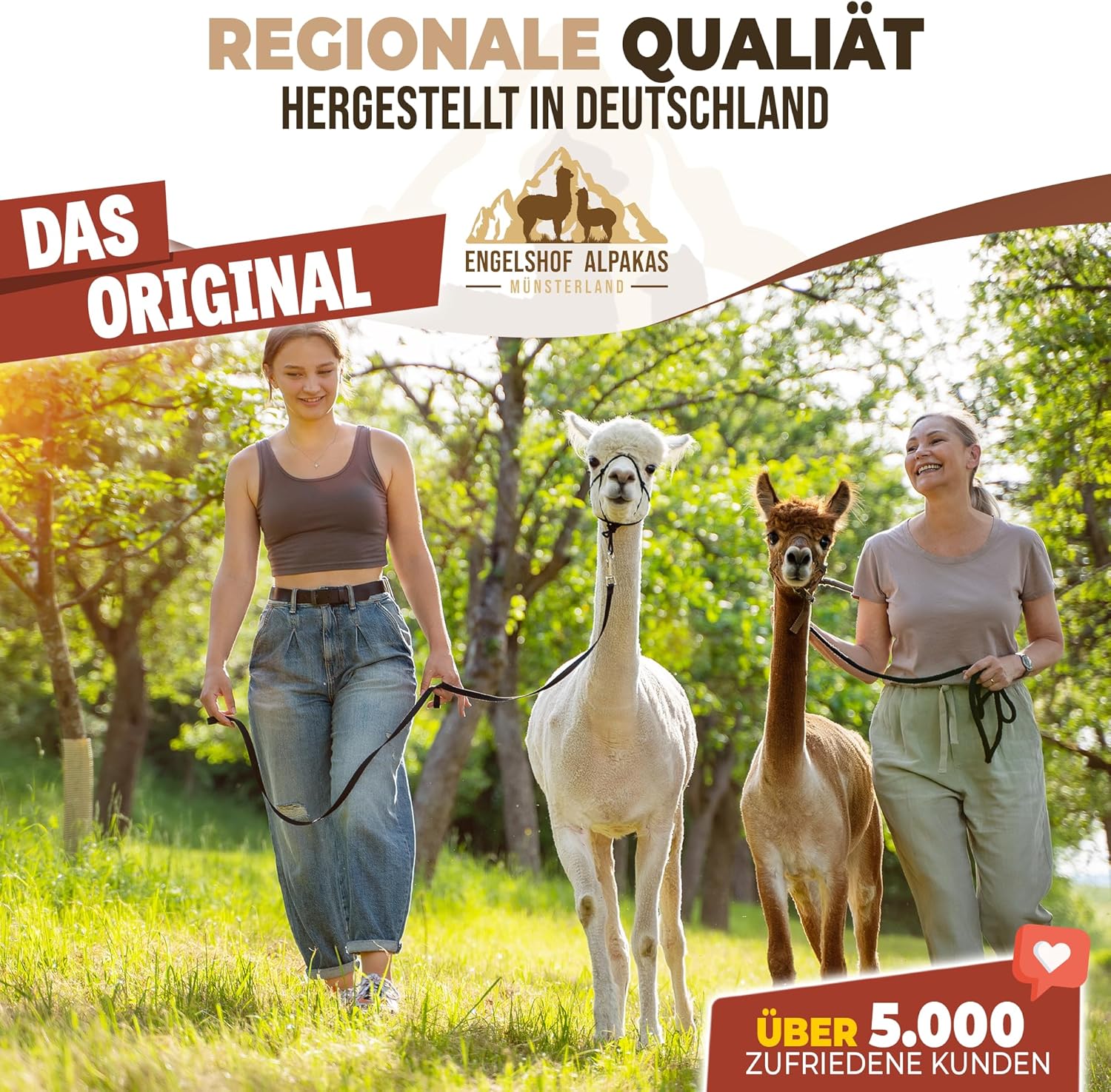 Engelshof Alpaka Bettdecke, Alpaka Decke 155x220 cm, Sommer leicht Duvet Alpaka Wolle ist viel Besser als Kamelhaardecke, Schafwolle Bettdecke oder Lama Decke mit 900g Alpakawolle