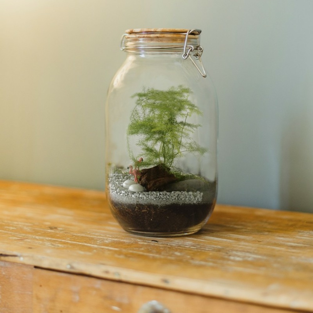 Terrarium à assembler soi-même avec graines d'asparagus à semer
