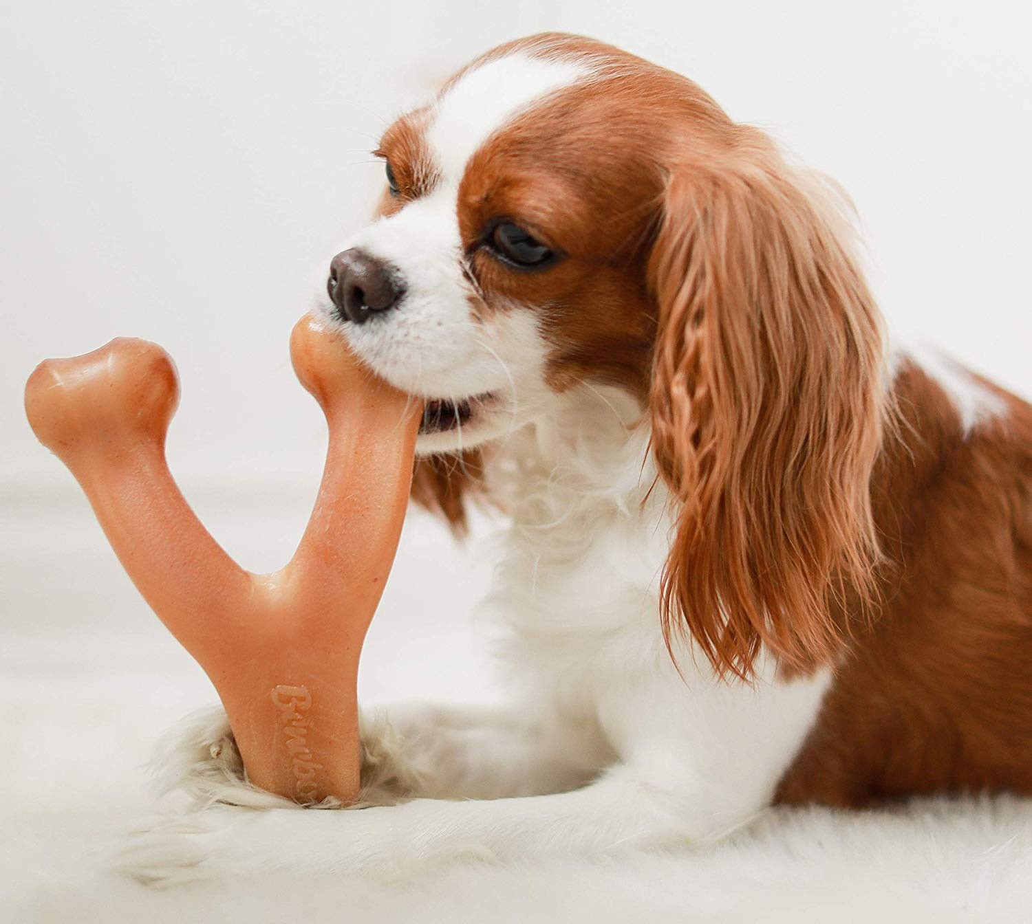 Brinquedo de dentição Benebone Wishbone em formato de bacon, marrom
