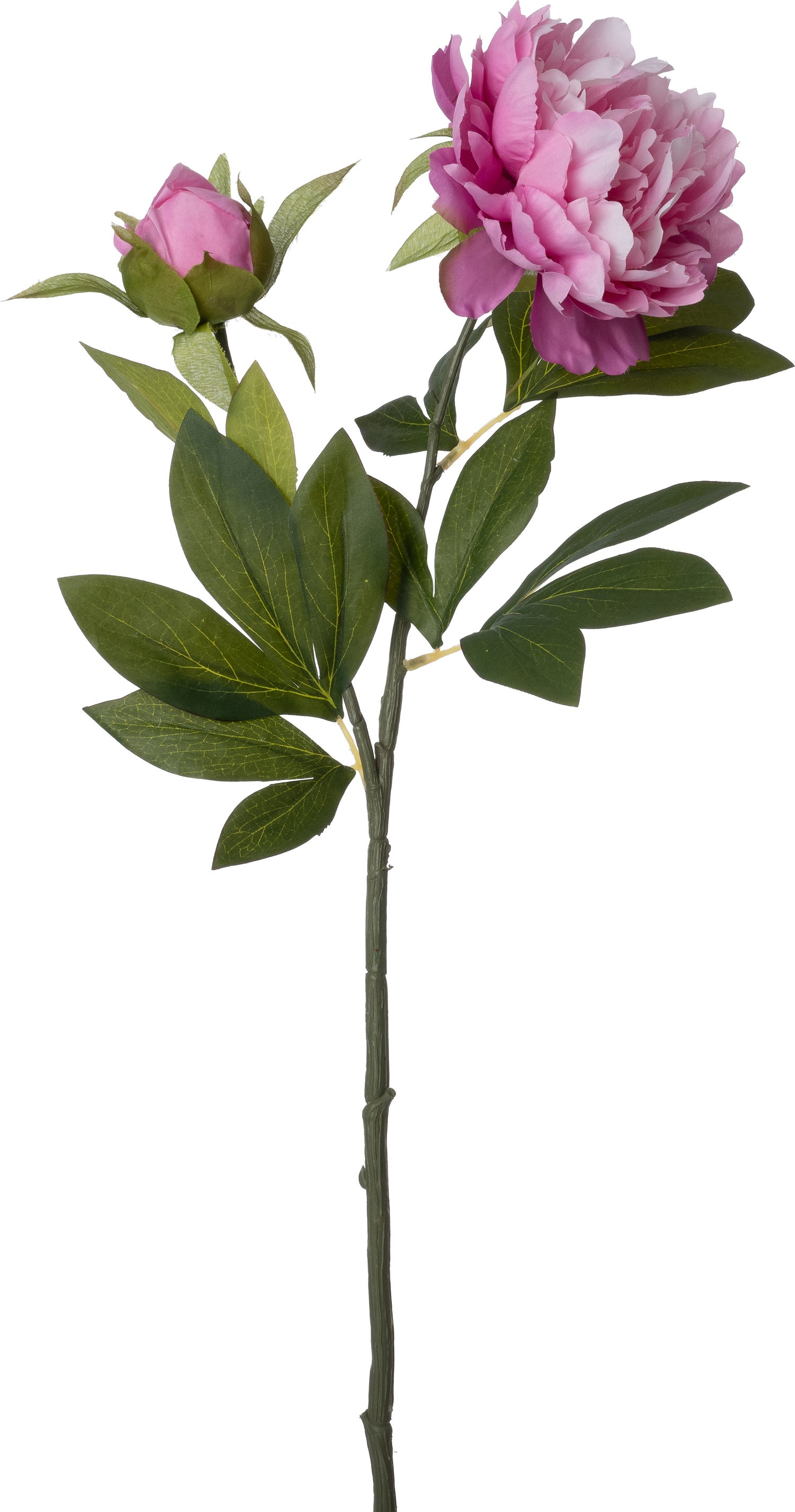 Intratuin kunstbloem Pioen paars 71 cm