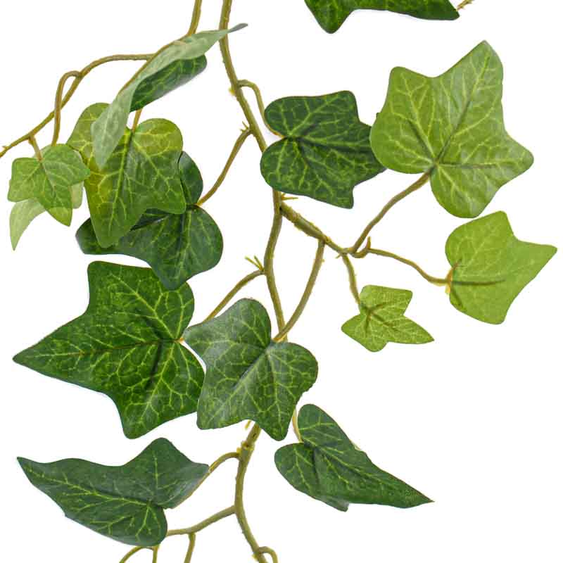 Guirlande de lierre verte