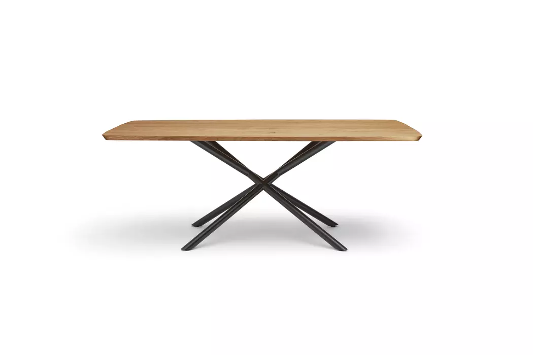 Esstisch Helmond 200 x 100 cm
