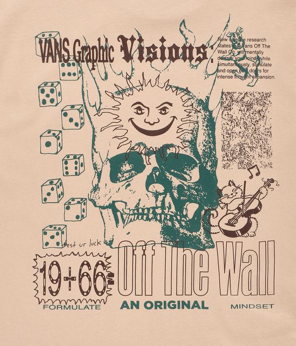Vans Expand Visions T-Shirt (incense)