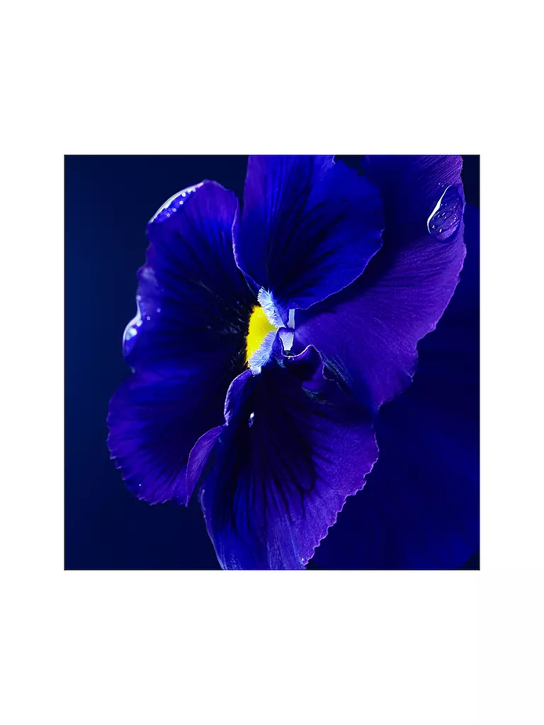 BOSS Triumph Elixir 50ml keine Farbe