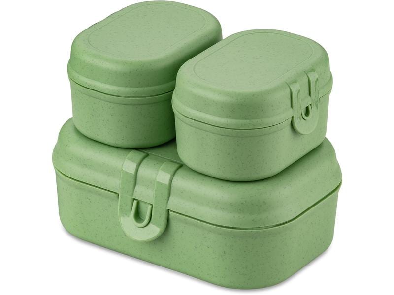 Koziol Lunchbox Pascal Ready Mini Grün Grüne Frühstücksdosen