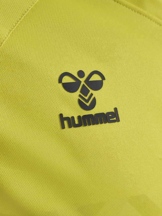 Hummel DBU Danmark målmandstrøje 23 Gul