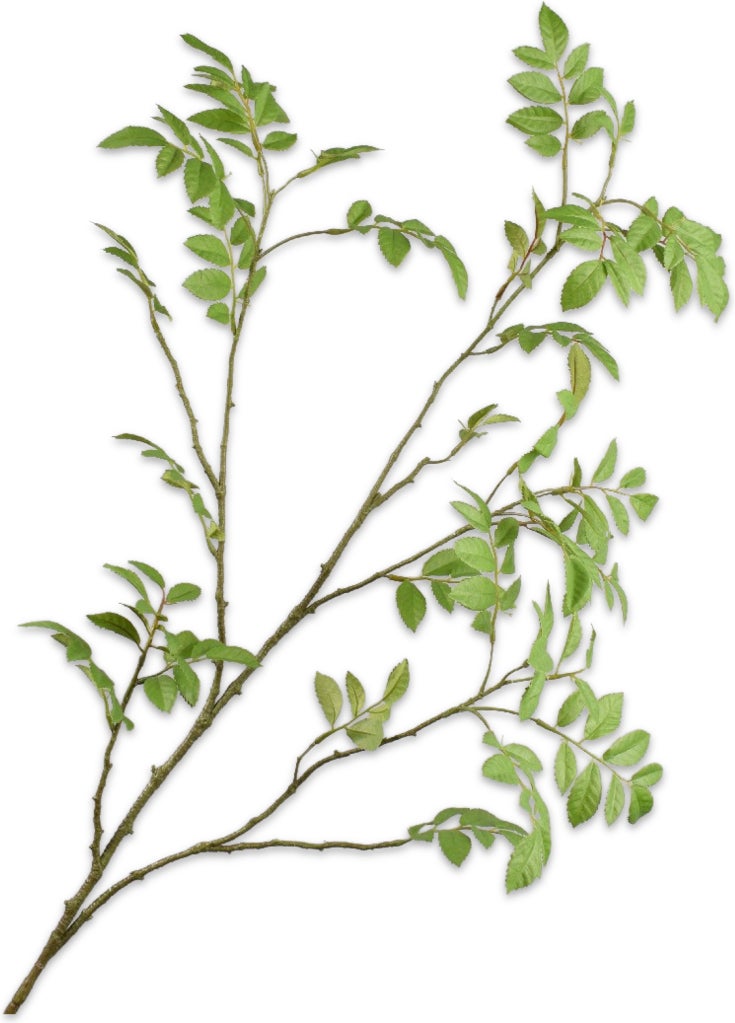 Silk-Ka kunsttak Lijsterbes-tak groen 119 cm