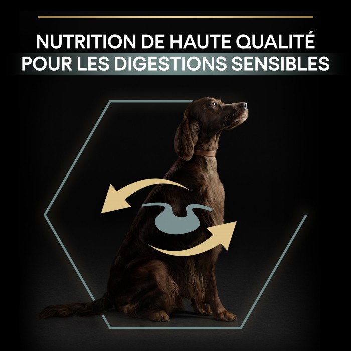 PRO PLAN Sensitive Digestion Large Athletic Adult à la Agneau - Croquettes pour chien