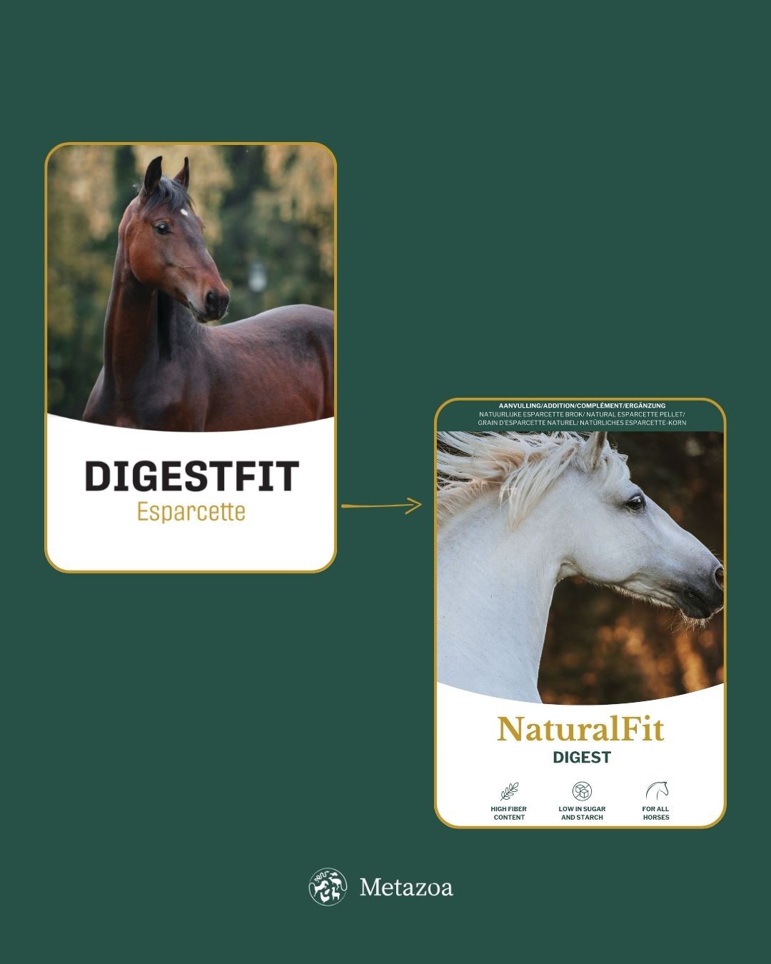 Metazoa Digestfit Esparcette - Specialiteit - Paardenvoer - 15 Kilogram - Zak