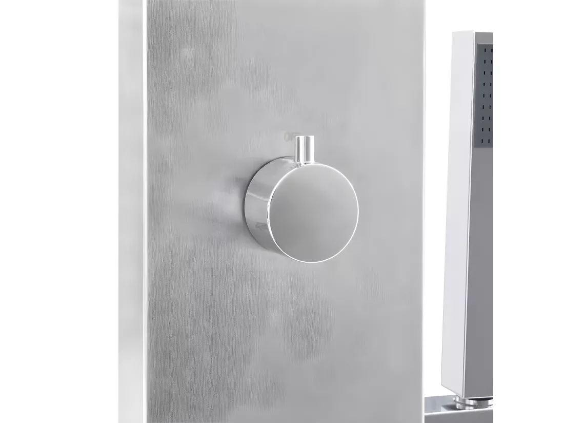 Prolenta Premium - Douche d'extérieur avec receveur de douche WPC Acier inoxydable