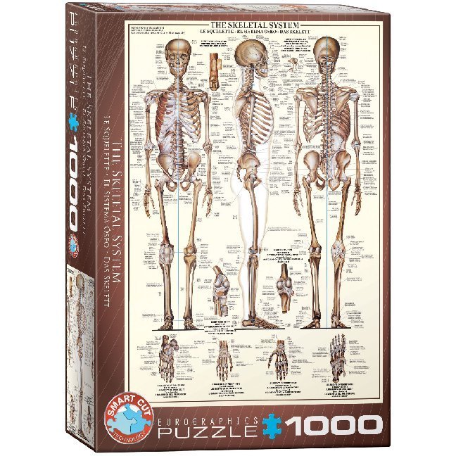Das Skelett (Puzzle)